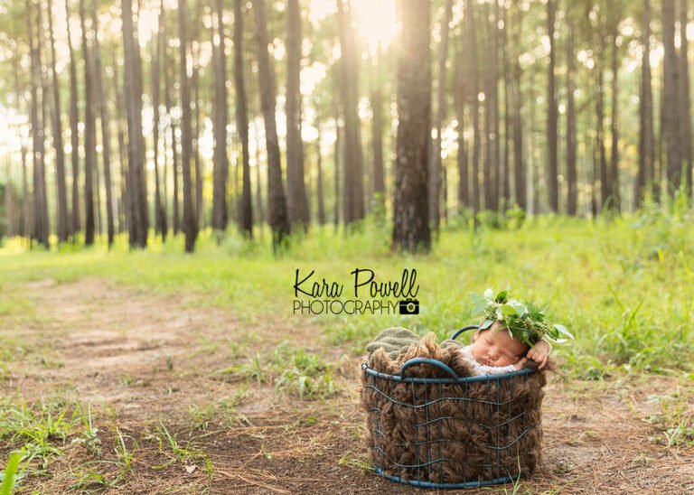 Outdoor newborn photo session with a baby in a basket and a flower crown