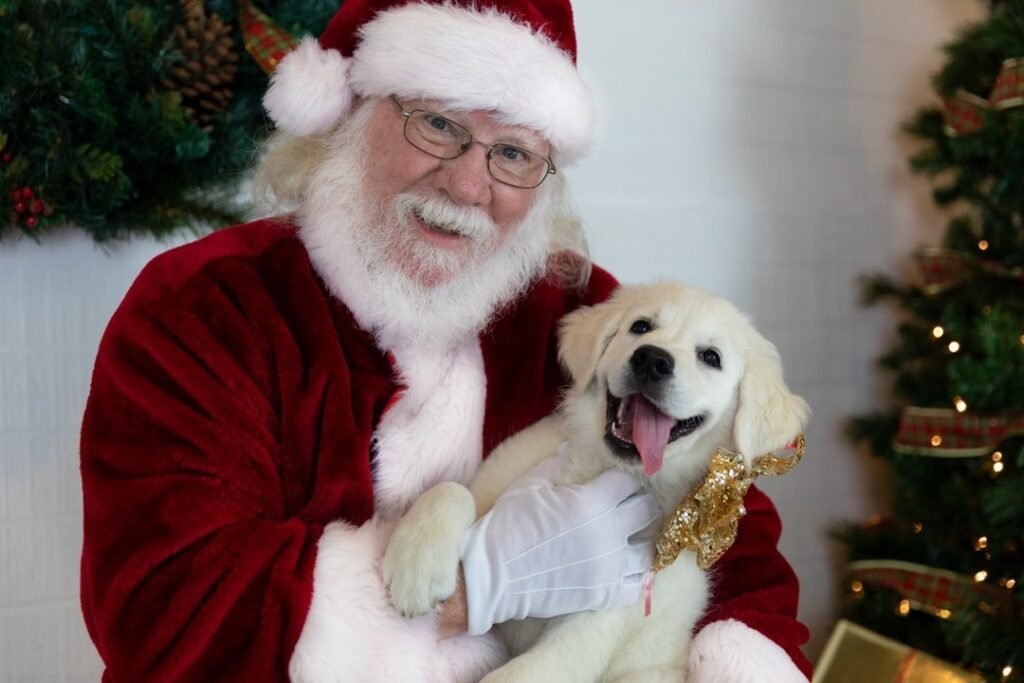 Santa Claus holds and golden retriever puppy at Santa minis.