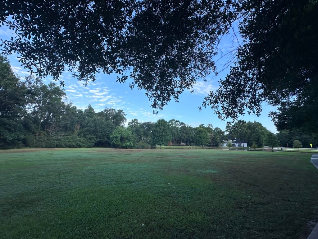 Meadowlake field and lake in the Woodlands TX taken by Kara Powell Photography.