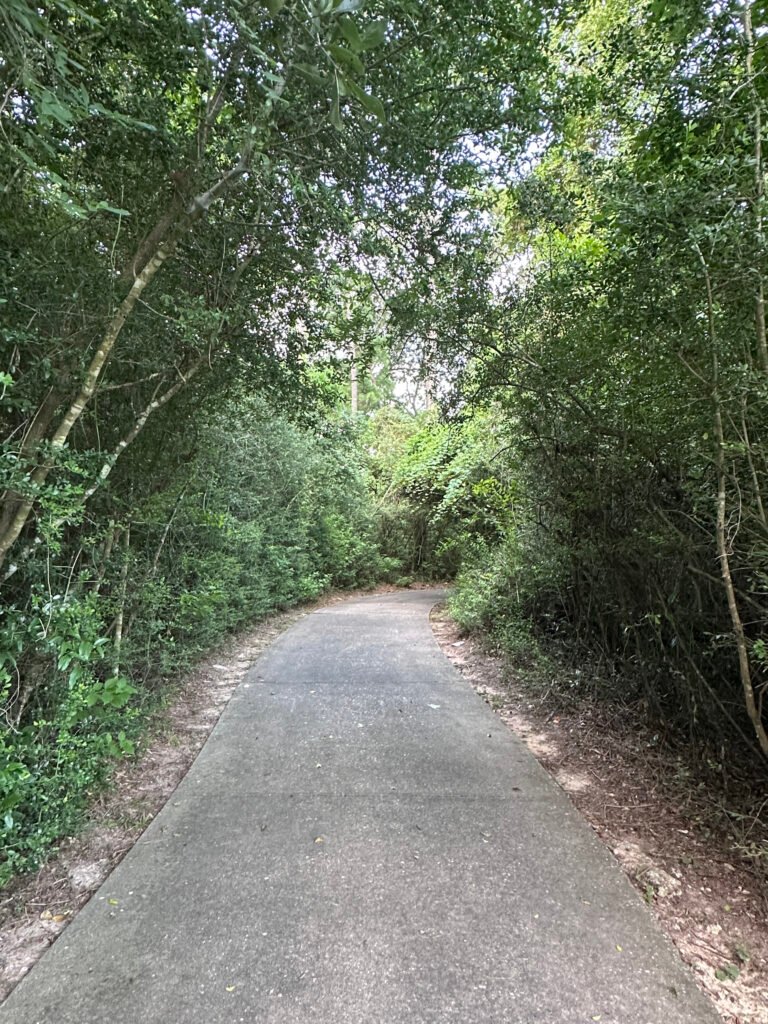 Meadowlake paths in the Woodlands TX taken by Kara Powell Photography.